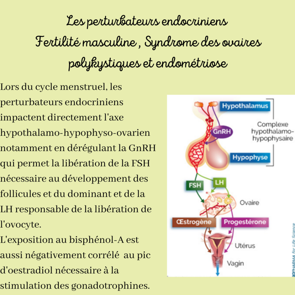 Perturbateurs endocriniens fertilité, SOPK, endométriose