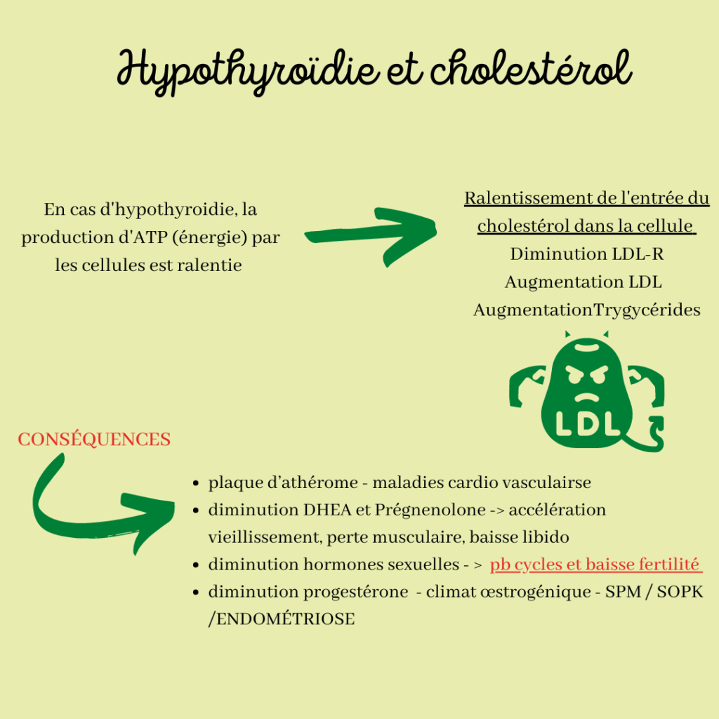 Hypothyroïdie, SOPK et prise en charge
Nutritionniste sur Saint-Chamas, Istres, Salon-de-Provence : Prise en charge de la perte de poids, surpoids, grossesse, infertilité, SOPK, endométriose